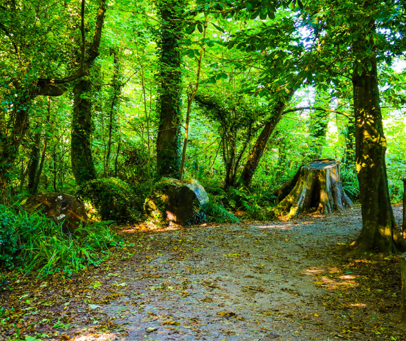 Group activities in Tralee