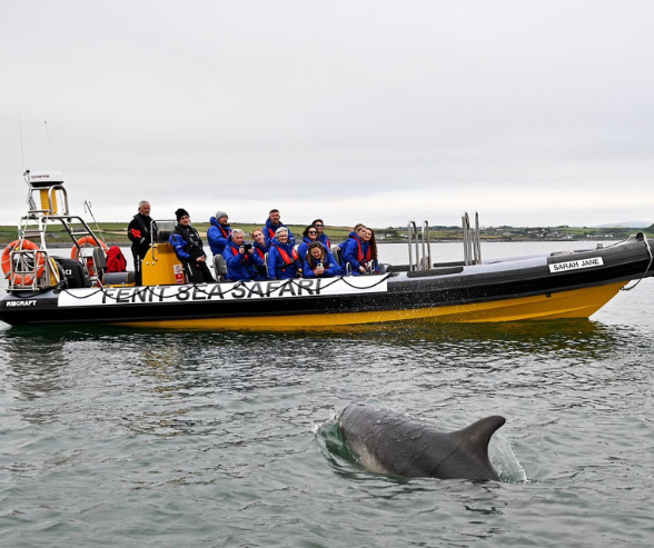 Summer in Tralee Fenit Sea Safari