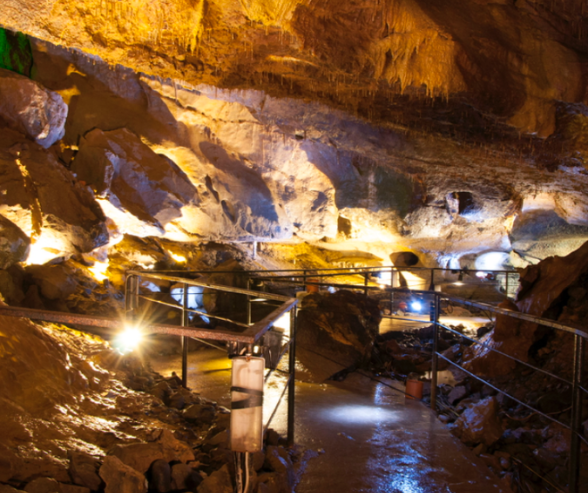 Summer in Tralee Crag Cave