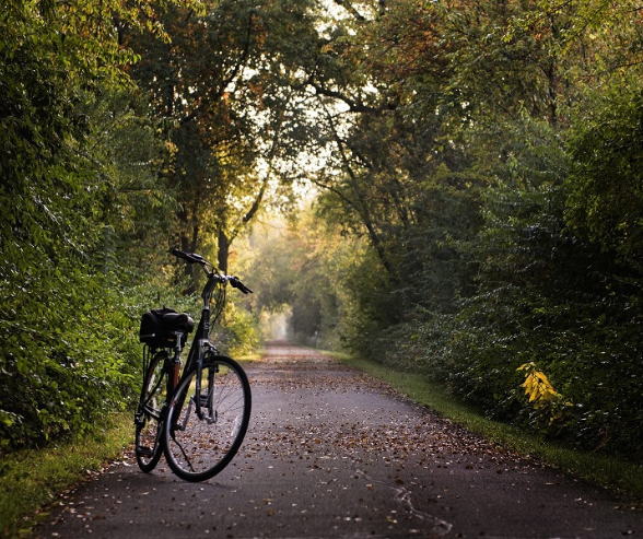 Summer in Tralee Greenway