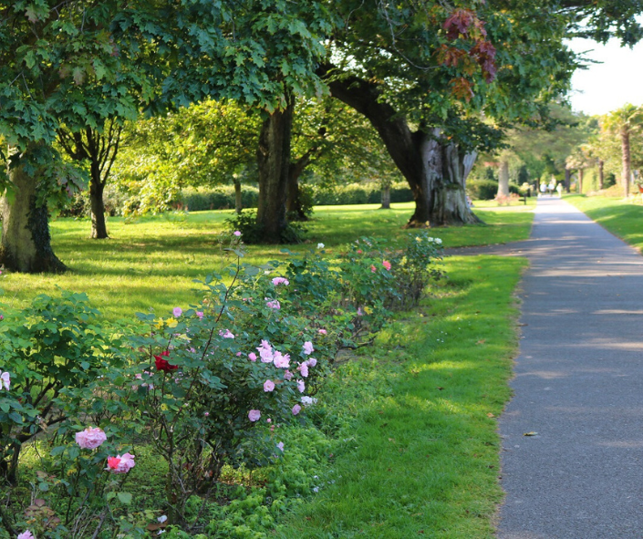 Tralee arts and culture